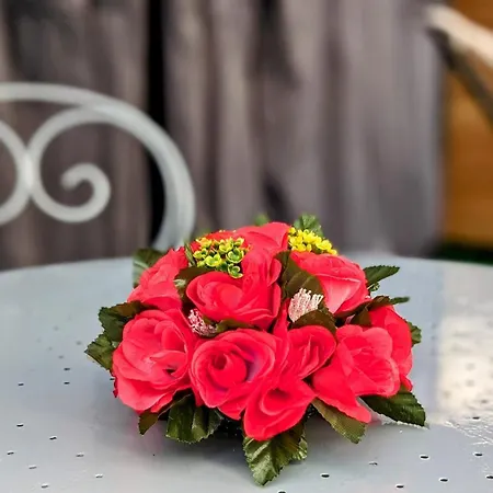 Yeslove * كونْياك